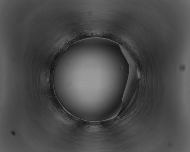 X0000091670548200708301501