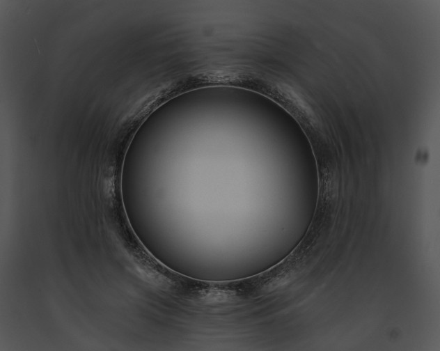 X0000091670549200708301501
