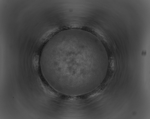 X0000091670550200708301501