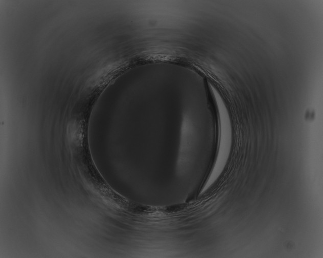 X0000091670551200708301501