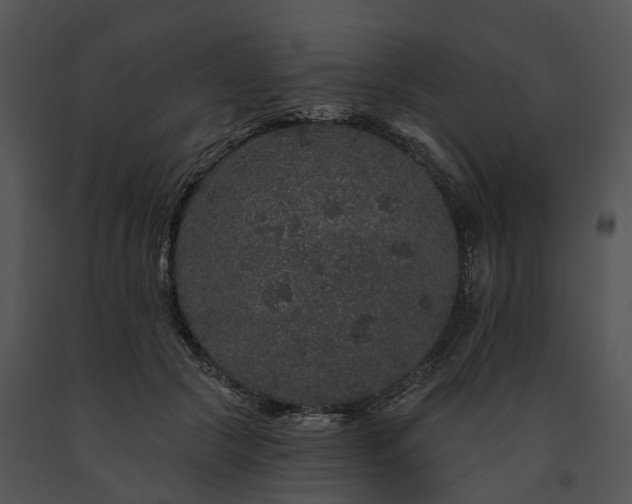 X0000091670553200708301501