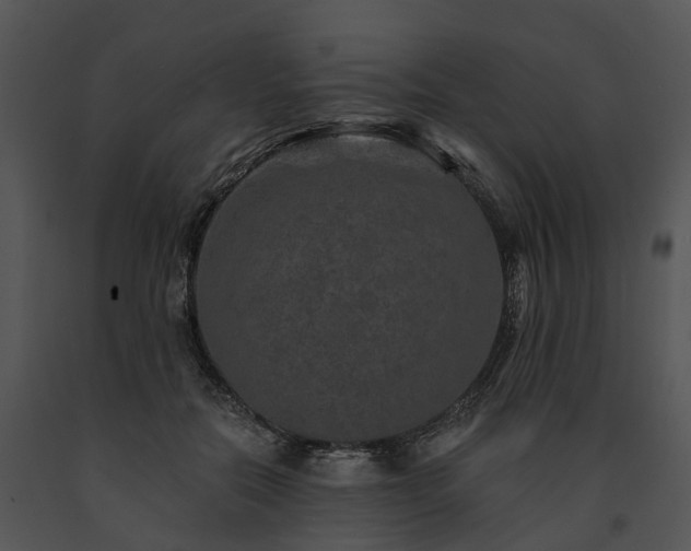 X0000091670554200708301501