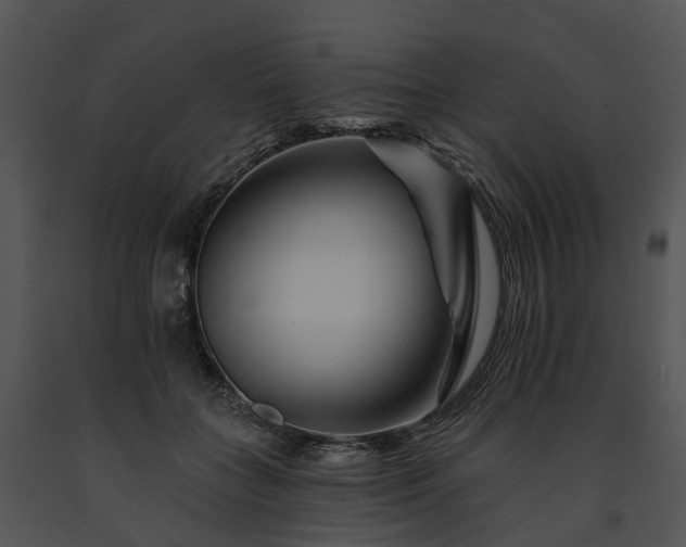 X0000091670555200708301501