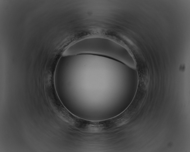 X0000091670556200708301501