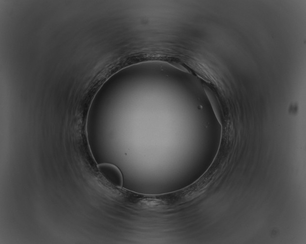 X0000091670557200708301501
