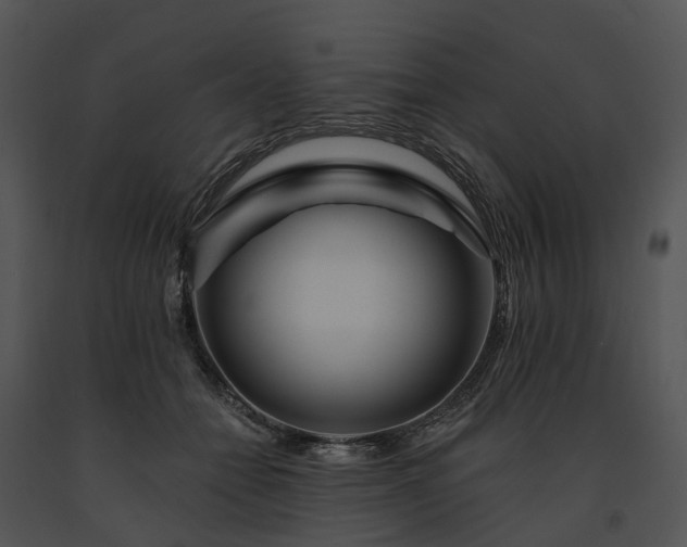 X0000091670558200708301501