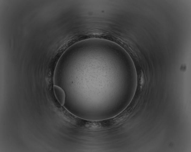 X0000091670559200708301501
