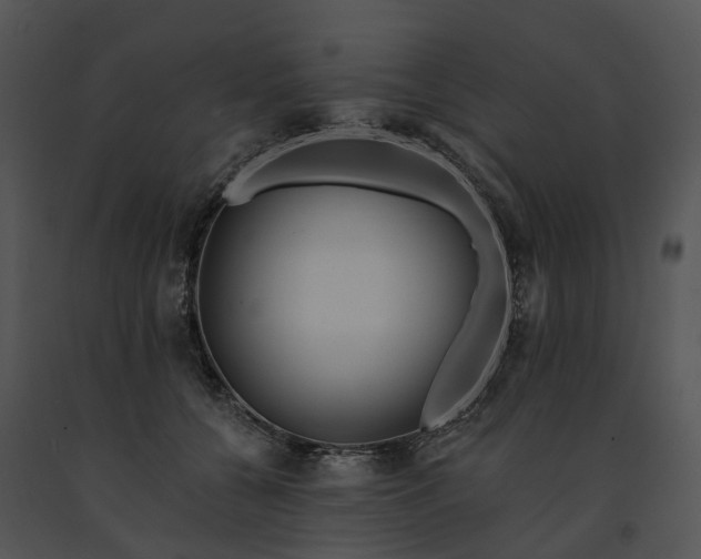 X0000091670560200708301501