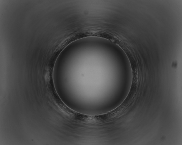 X0000091670562200708301502