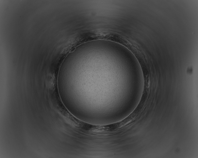 X0000091670563200708301502