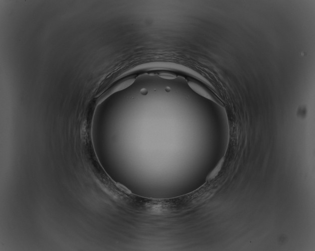 X0000091670564200708301502
