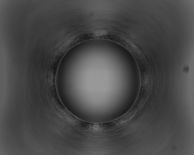 X0000091670565200708301502