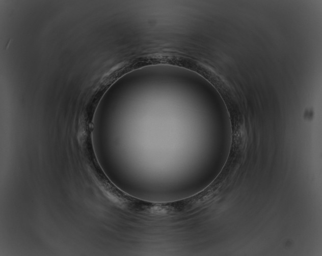 X0000091670566200708301502