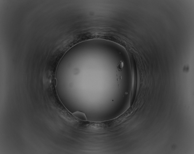 X0000091670567200708301502