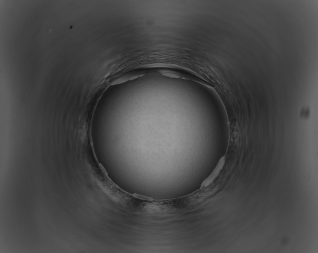 X0000091670568200708301502