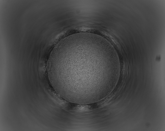 X0000091670569200708301502