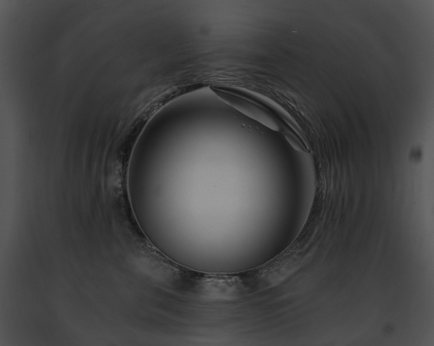 X0000091670571200708301502