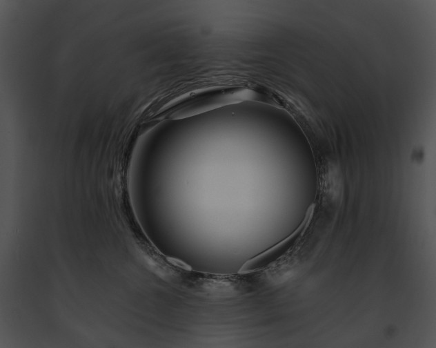 X0000091670572200708301502