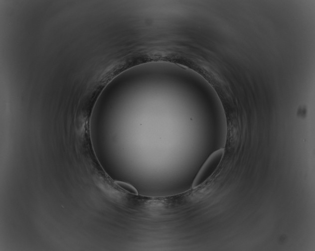 X0000091670574200708301502