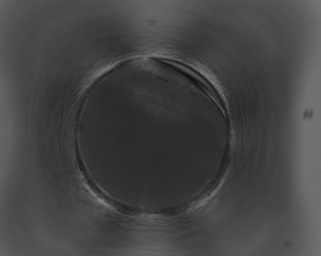 X0000091670577200708301501