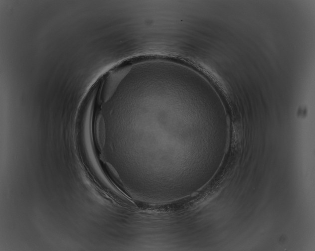 X0000091670580200708301501