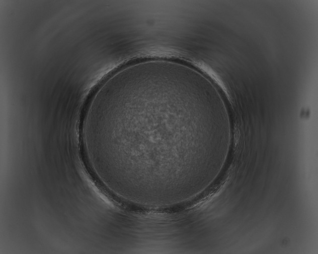 X0000091670581200708301501