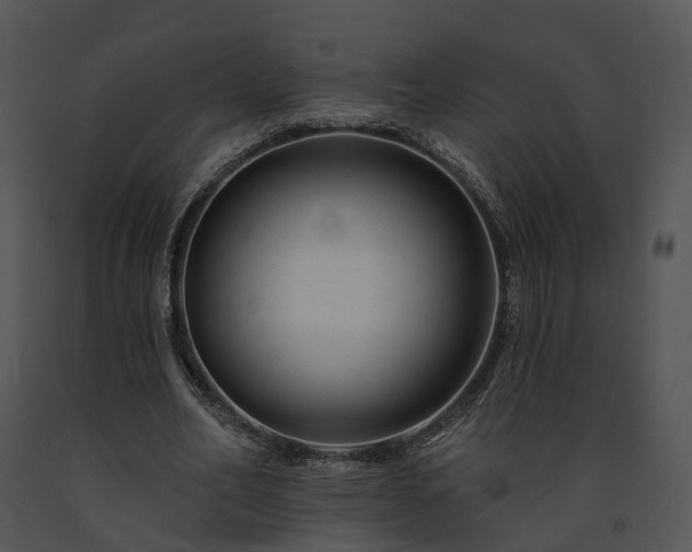 X0000091670582200708301501