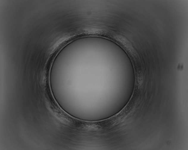 X0000091670583200708301501
