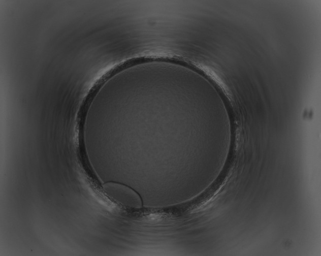 X0000091670584200708301501