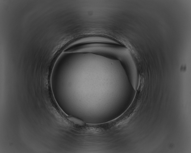 X0000091670585200708301501