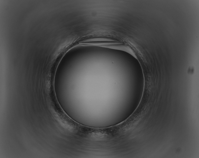 X0000091670586200708301501