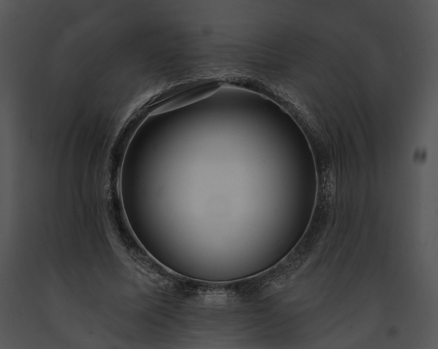 X0000091670587200708301501