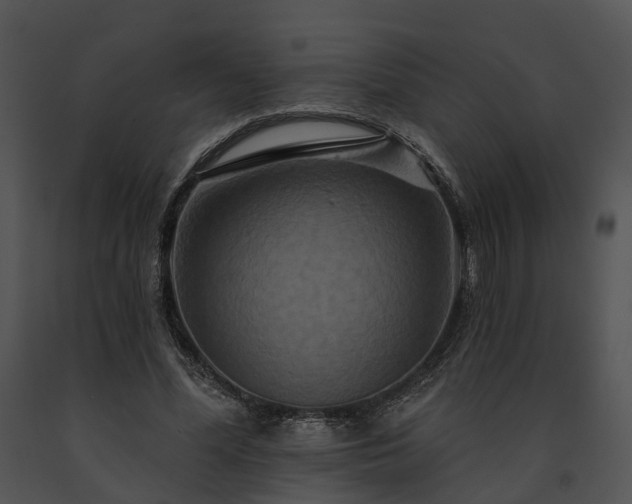 X0000091670588200708301501