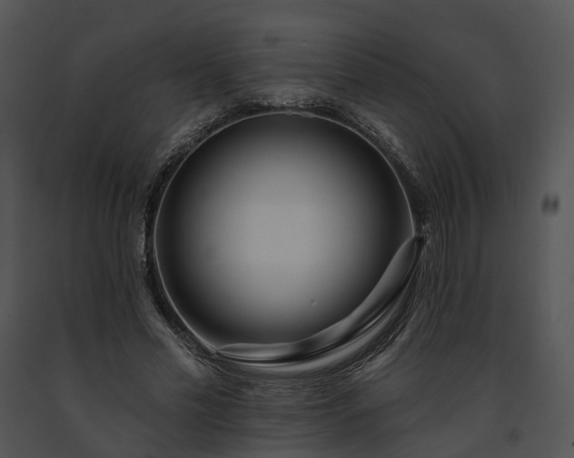 X0000091670589200708301501