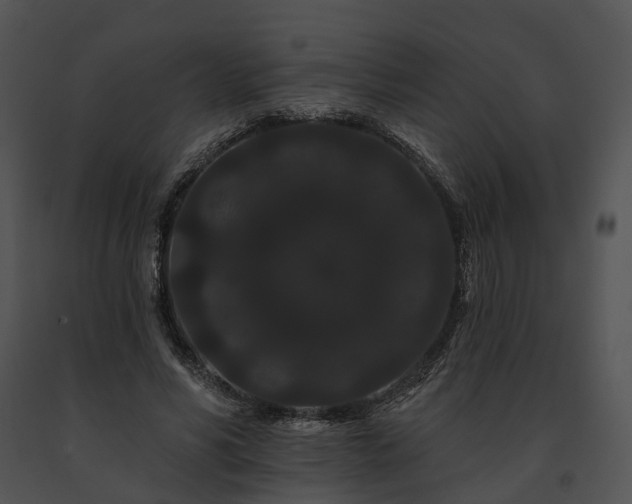 X0000091670590200708301501