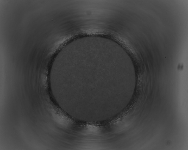 X0000091670592200708301501