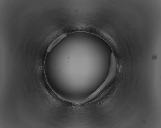X0000091670593200708301501