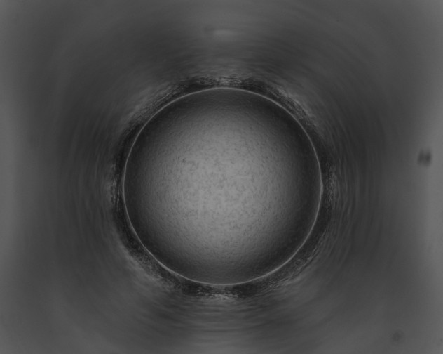 X0000091670594200708301501
