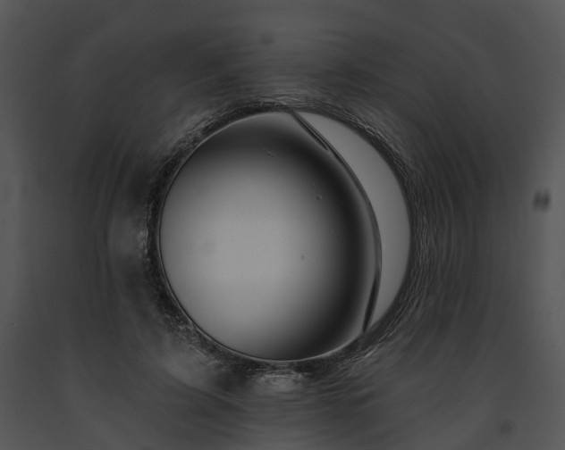 X0000091670595200708301501