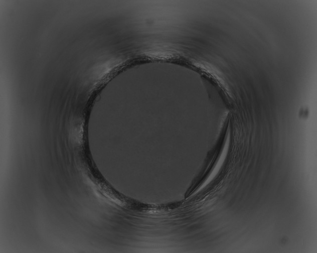 X0000091670596200708301501
