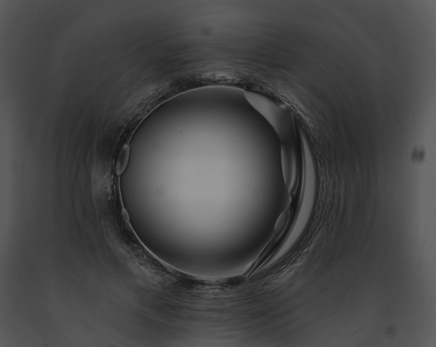 X0000091670597200708301501