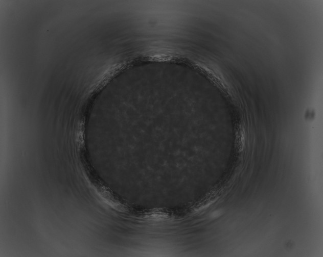 X0000091670598200708301501
