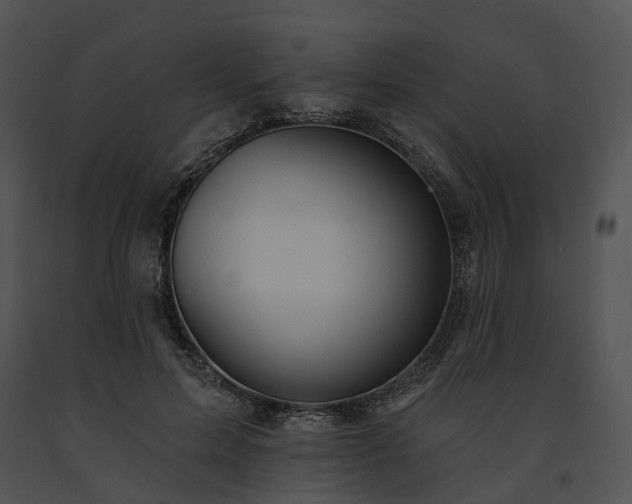 X0000091670599200708301501
