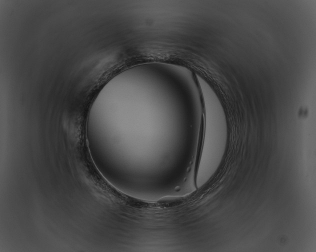 X0000091670600200708301501