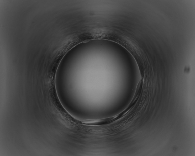 X0000091670601200708301501