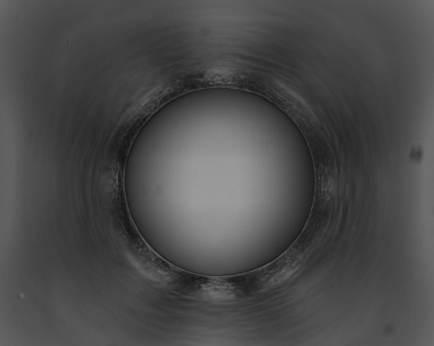 X0000091670603200708301501