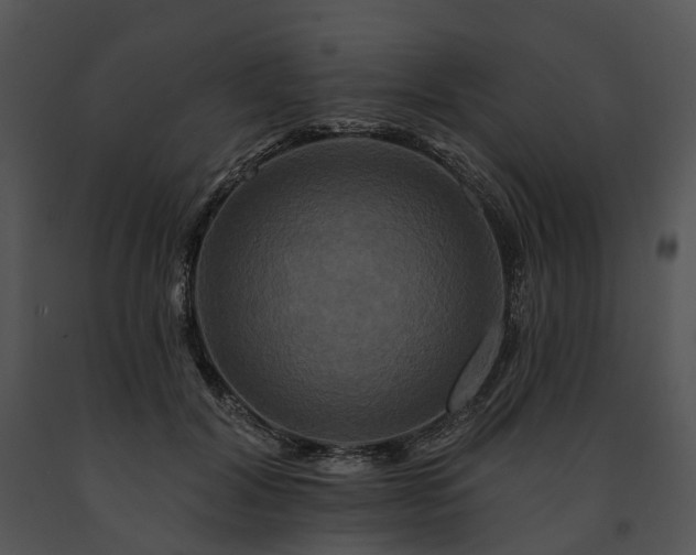 X0000091670604200708301501