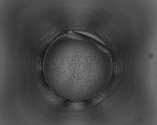 X0000091670606200708301501