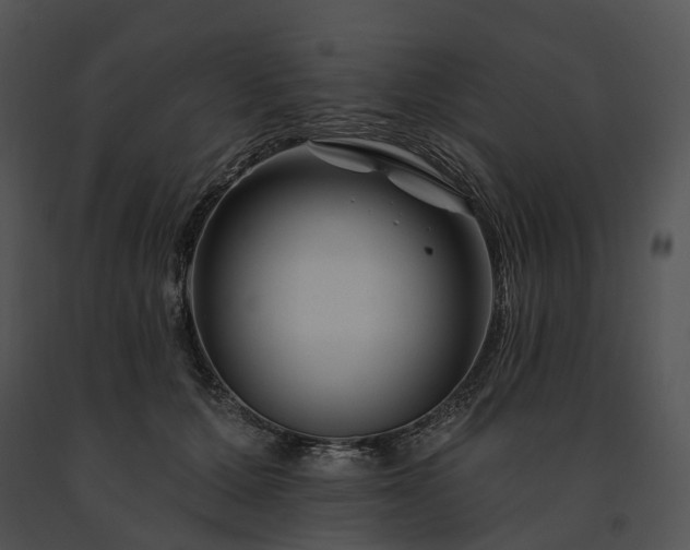 X0000091670607200708301501