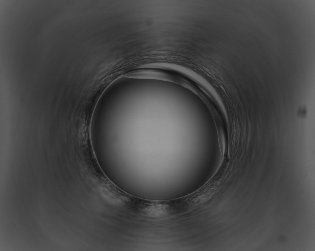 X0000091670609200708301501